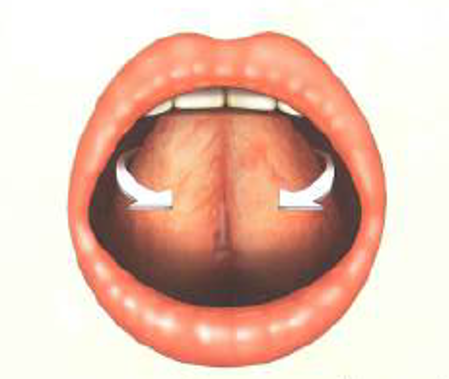 في حرفِ (اللَّامِ)، يكون المخرجُ مفتوحًا مِن جانبَيِ اللسان فقط؛ كما ذكَرْنا في صفةِ الانحراف.